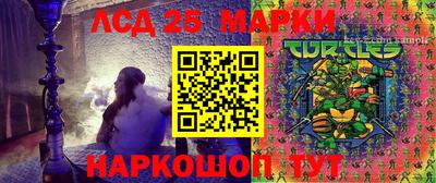 jwh Можга