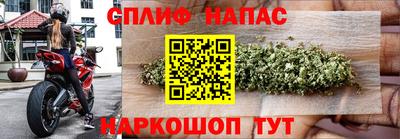 jwh Можга