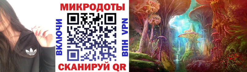 Псилоцибиновые грибы Psilocybine cubensis  Вологда 